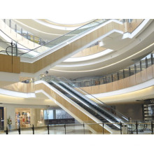 Dsk Indoor Rolltreppe für Einkaufszentrum